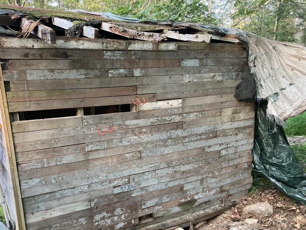 Weathered wooden shed with its roof caving in, ready to come down, demolition