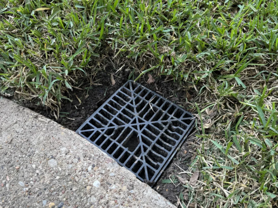 Black square catch basin grate set in the lawn beside a concrete drive edge, yard drainage
